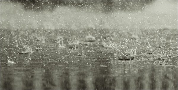 Дождь по лужам