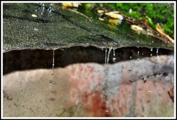 Дождь бьется