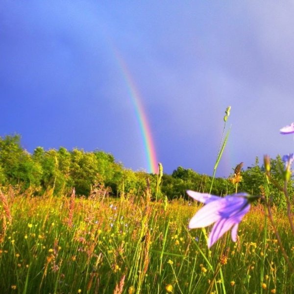 Доброе утро Радуга