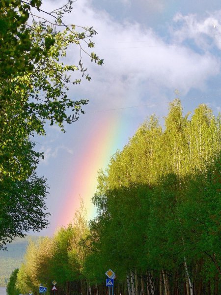 Дождь для радуги