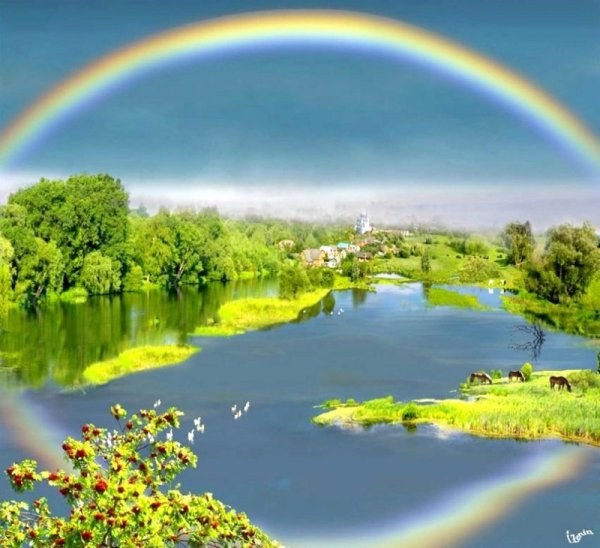 Природа вокруг нас