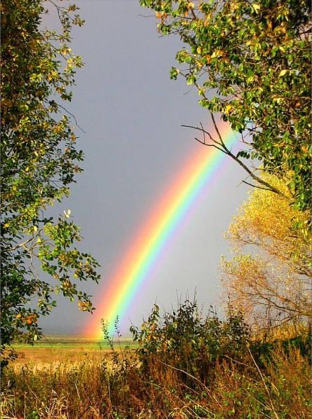 Лето Радуга