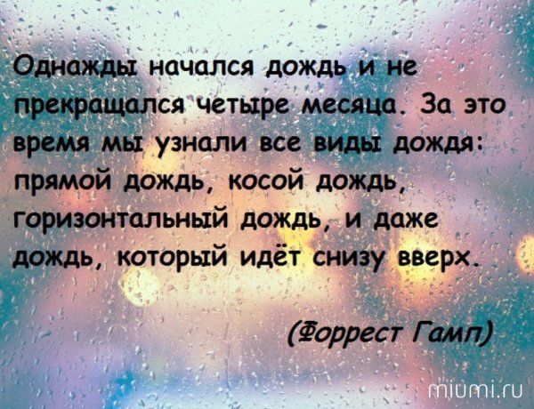 Цитаты про дождь