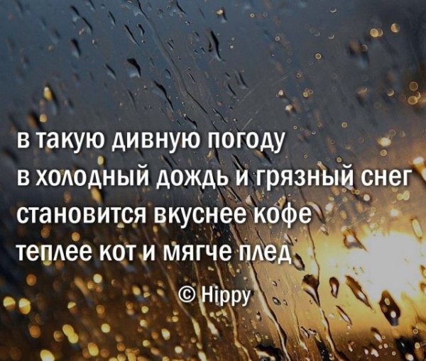 Высказывания о Дожде красивые