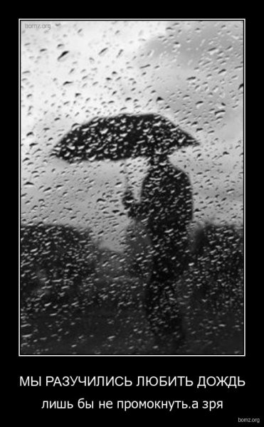 Обожаю дождь