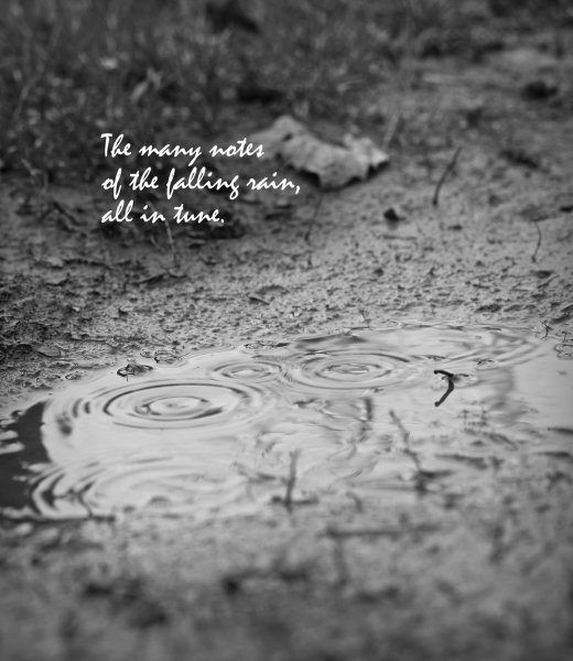 Цитаты про дождь со смыслом