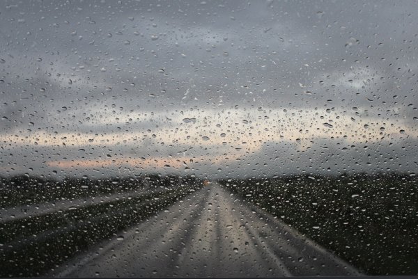 Дождливая дорога из машины