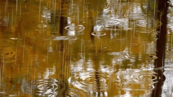 Ласковый дождь картинки