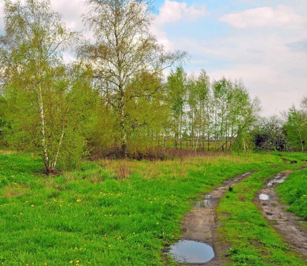 Весенний дождь в деревне
