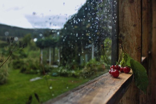 Дождь за окном фото