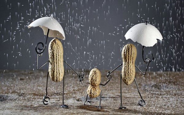 Осень дождь креатив