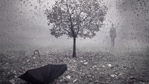 Серое одиночество