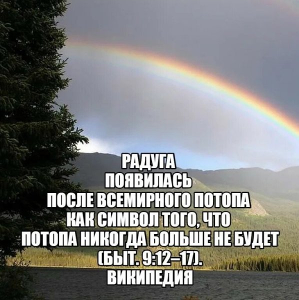 Красивые фразы про радугу