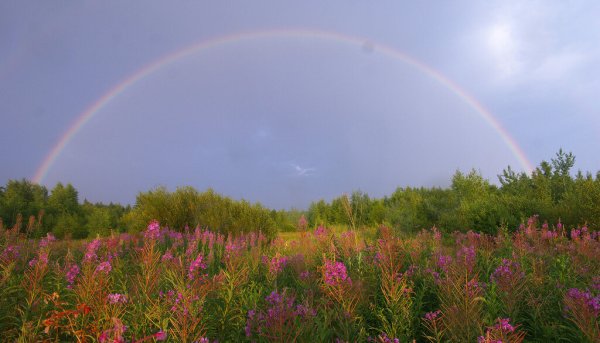 После дождя бывает Радуга