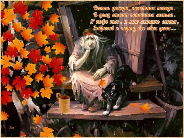 Опять дождь