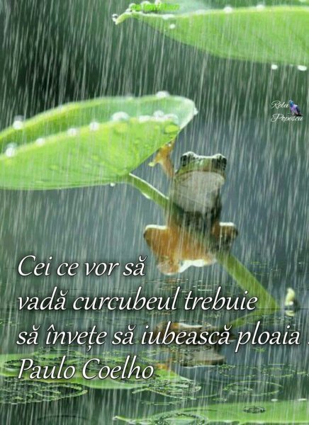 Дождливый летний день