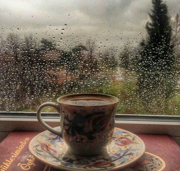 Чашка на окне