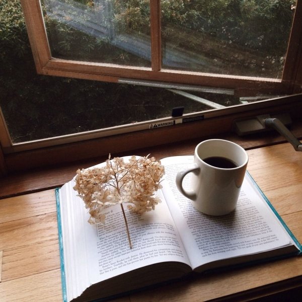 Чай окно книга