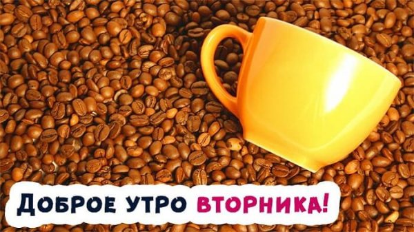 С добрым утром вторника