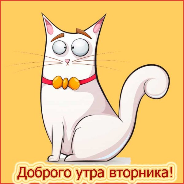 Доброе утро вторника