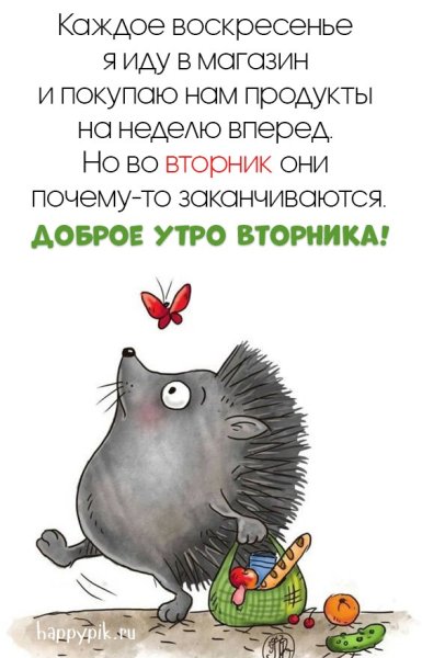 Ежик мотиваторы