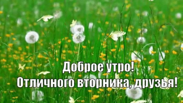С добрым летним утром вторника
