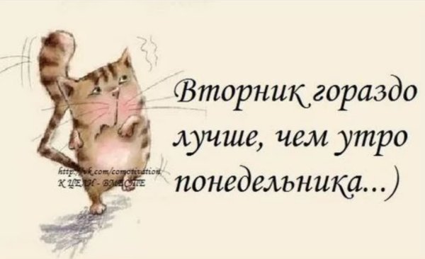 Шутки про вторник