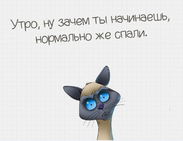 Статусы про утро прикольные