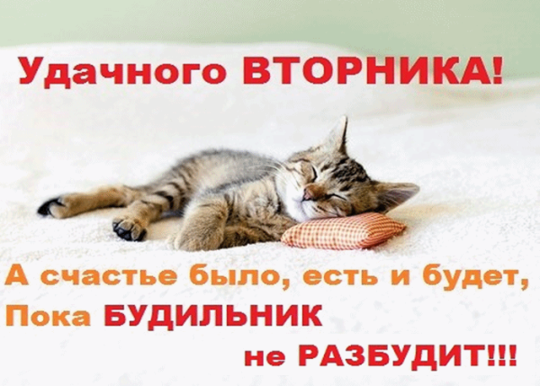 Открытки со вторником прикольные