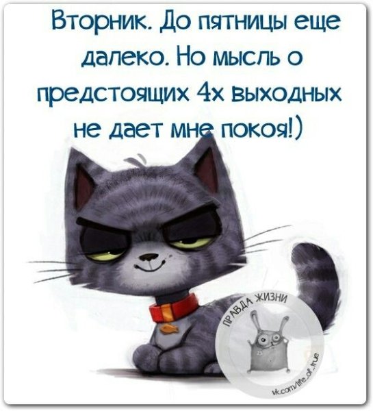 Вторник картинки прикольные