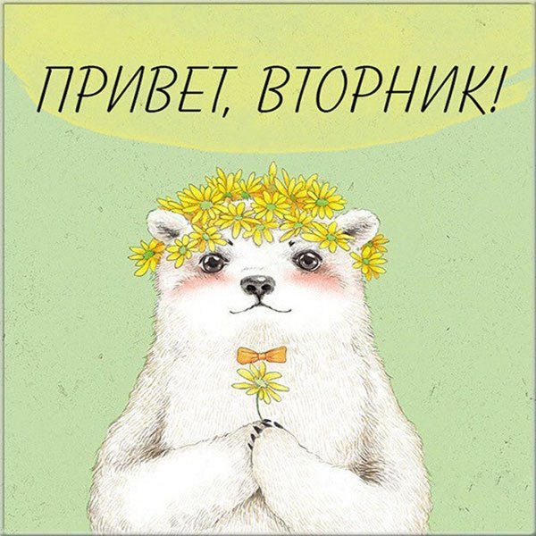 Доброе утро вторника