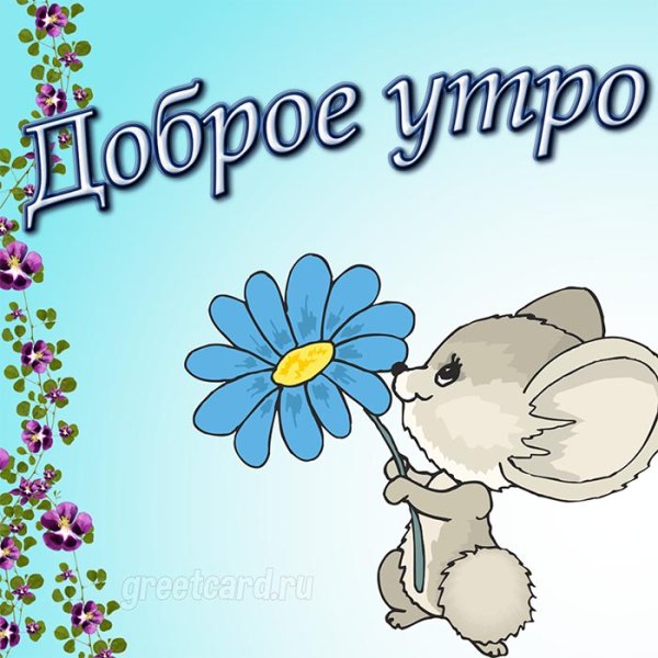 Доброе утро Лизонька