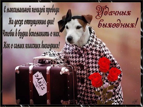 С добрым утром вторника прикольные