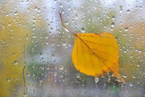 Капли осеннего дождя на стекле
