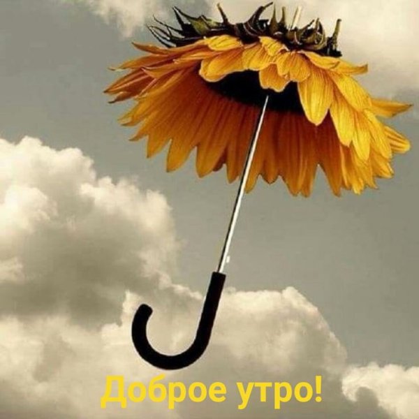 Хорошего дождливого дня и отличного настроения
