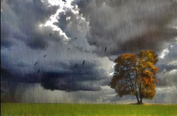 Осень дождь небо