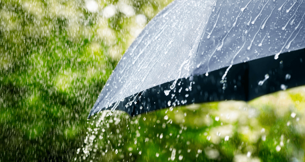 Дождь летом