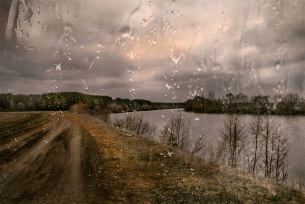 Дождь в России