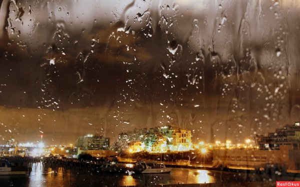 Дождливая ночь