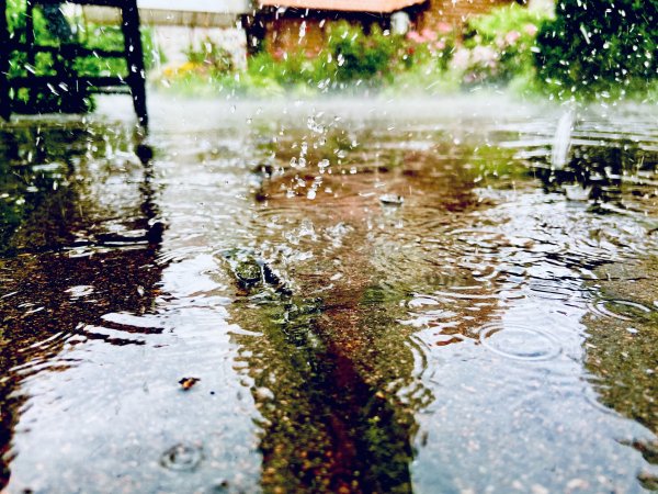 Весенний дождь фильм