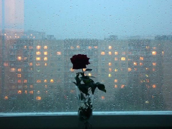 Мужчина за дождливым окном