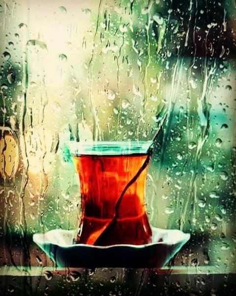 Чай и дождь за окном