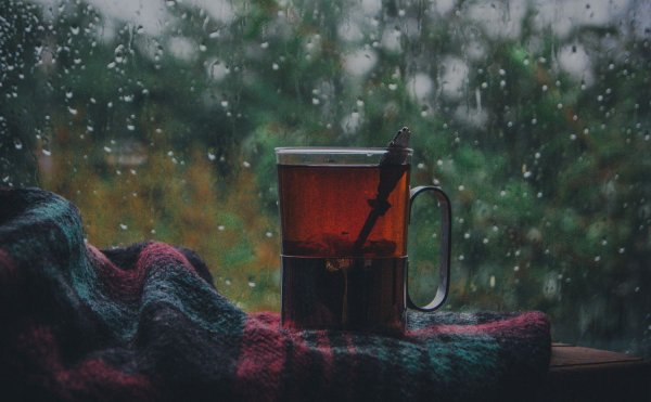 Уютный дождь