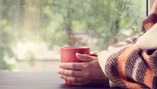 Девушка в пледе с чаем