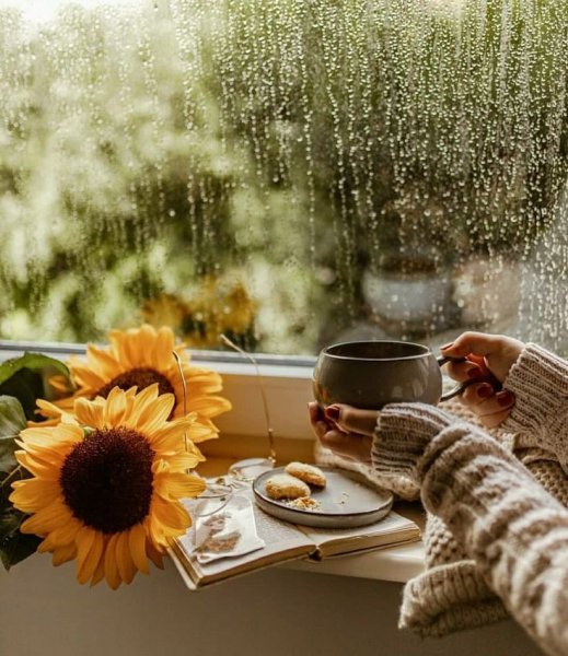 Зима за окном а на окне чай цветы книга