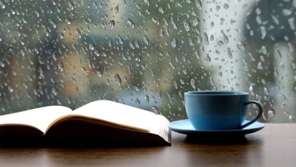 Кофе и дождь за окном