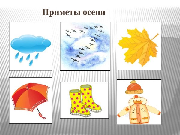 Приметы осени для дошкольников