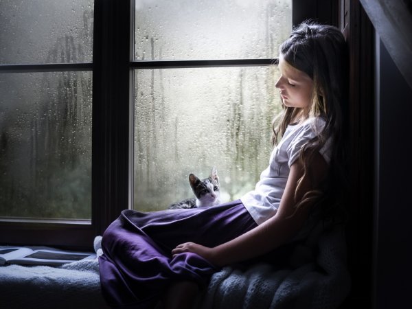 Девушка у окна