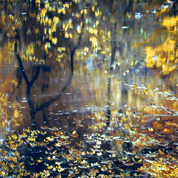 Живопись осень дождь