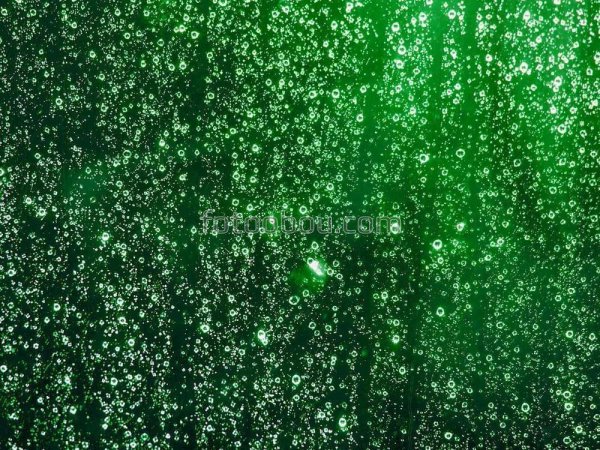 Изумрудный дождь